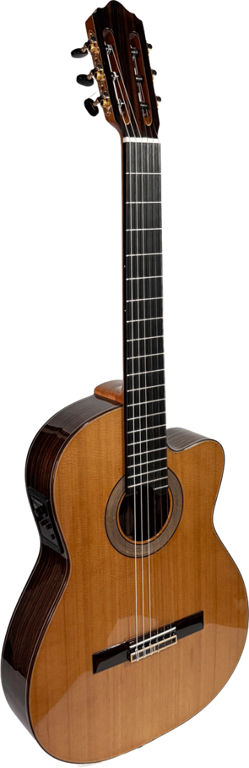 Maria Torres CW20 Cedar thin cutaway guitar
