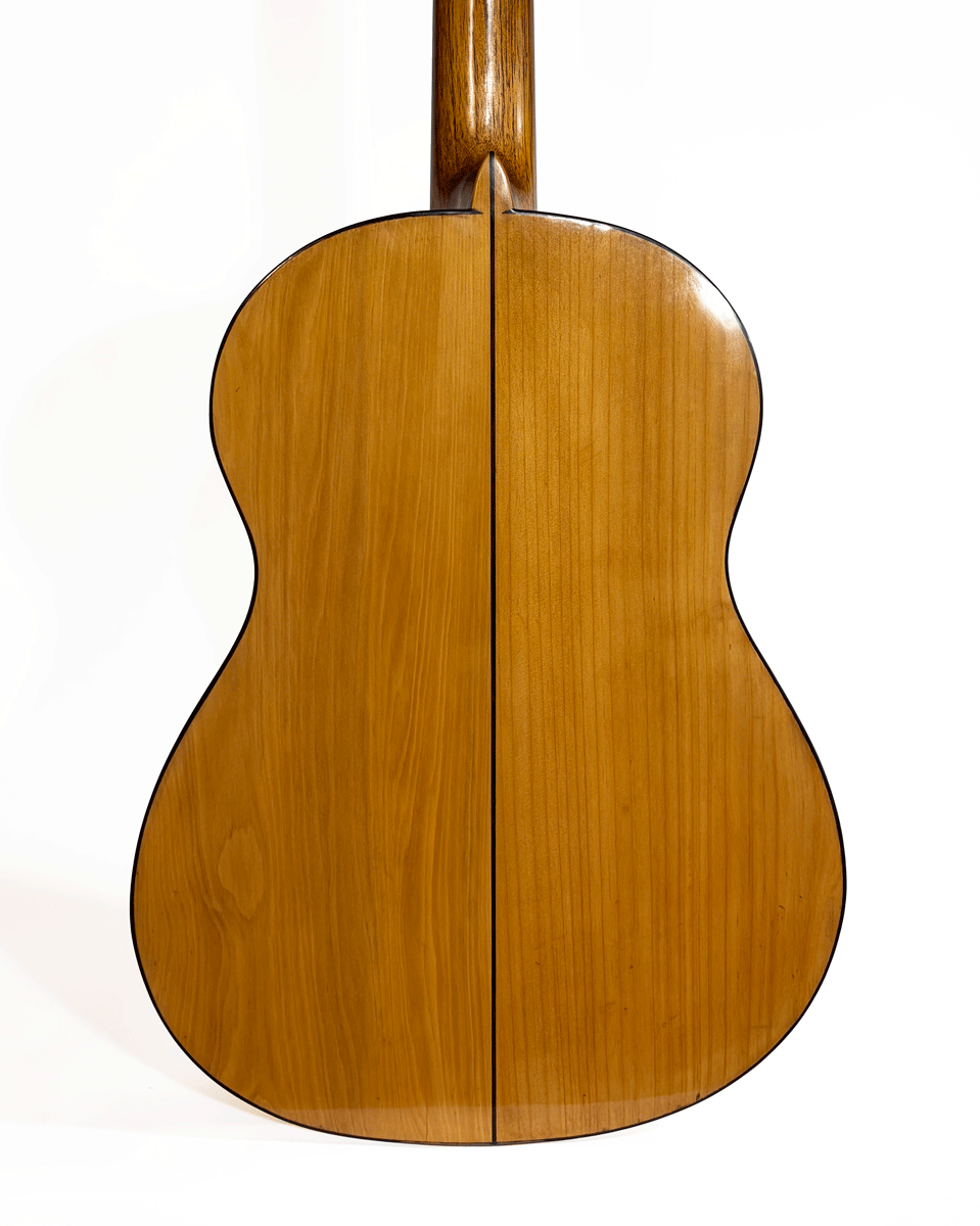 S.H-1919-back-2-.gif