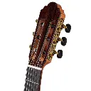 M30_headstock_660.webp