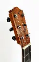 m-barbero-1951-dj-schrander-headstock.webp