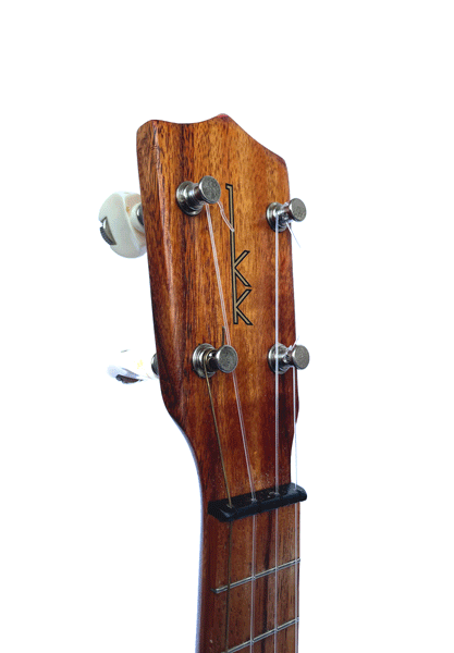 headstock.gif