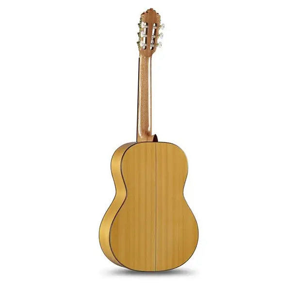 FLAMENCASBack7FC.webp