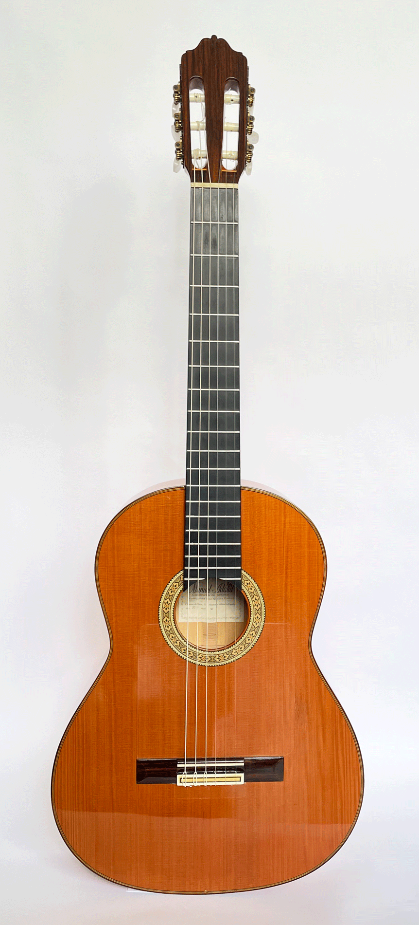 Esteve-front-2-.gif