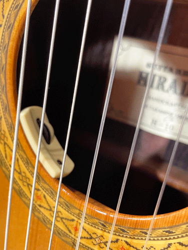 Takamine-element-.gif