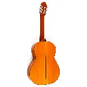 amalio-burguet-2F-flamenco-dr.webp