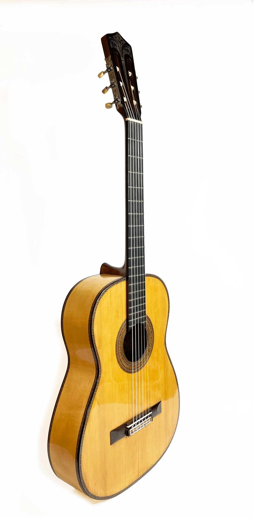 E.S-front-2-.gif