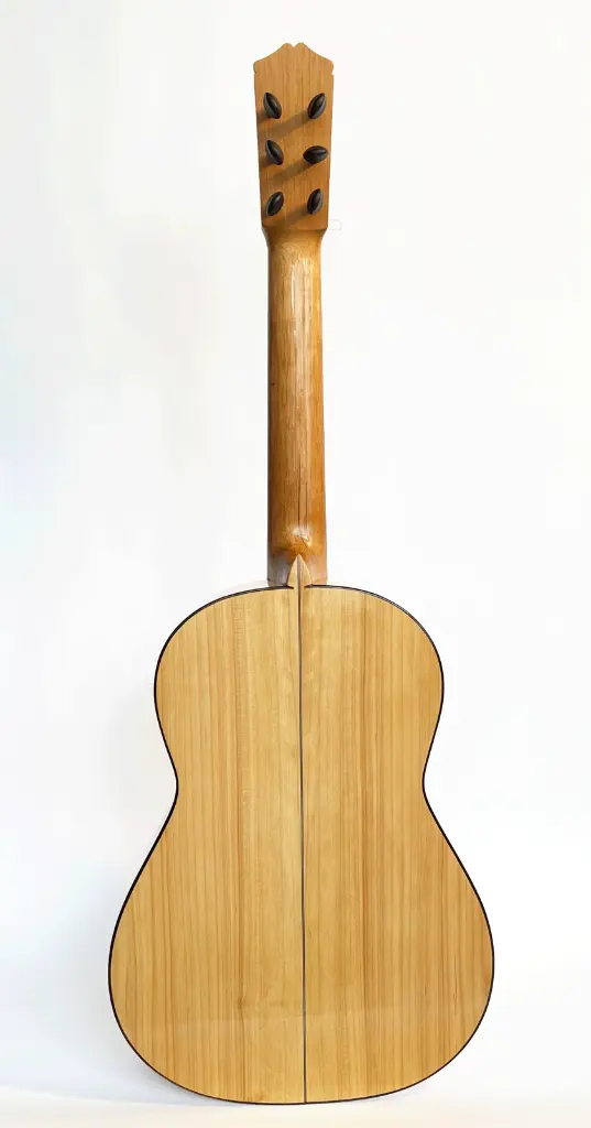 santos-hernandez-back-2.webp
