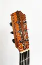 santos-hernandez-headstock.webp