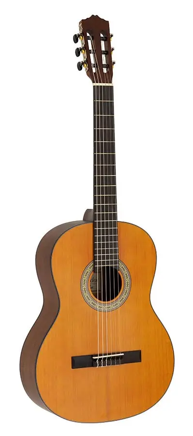 Salvador Student Series Classic Guitar Cedar + sapele Prima C