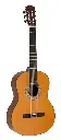 Salvador Student Series Classic Guitar Cedar + sapele Prima C