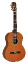 Salvador Cortez Iberia Series Classic Guitar Solid Canadian Cedar Top Luna C-SN