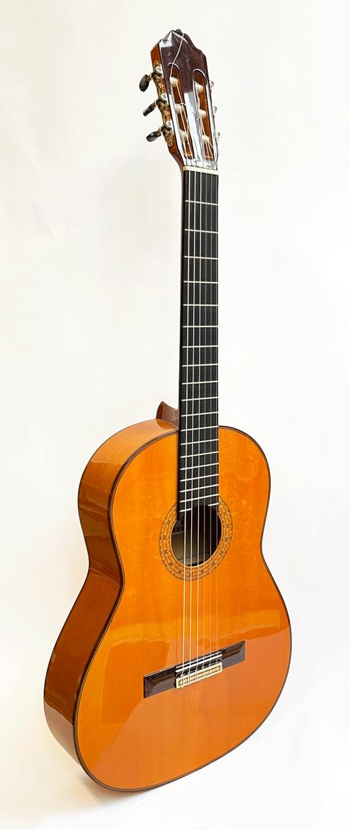 Esteve 6F Spruce Top Flamenco Guitar