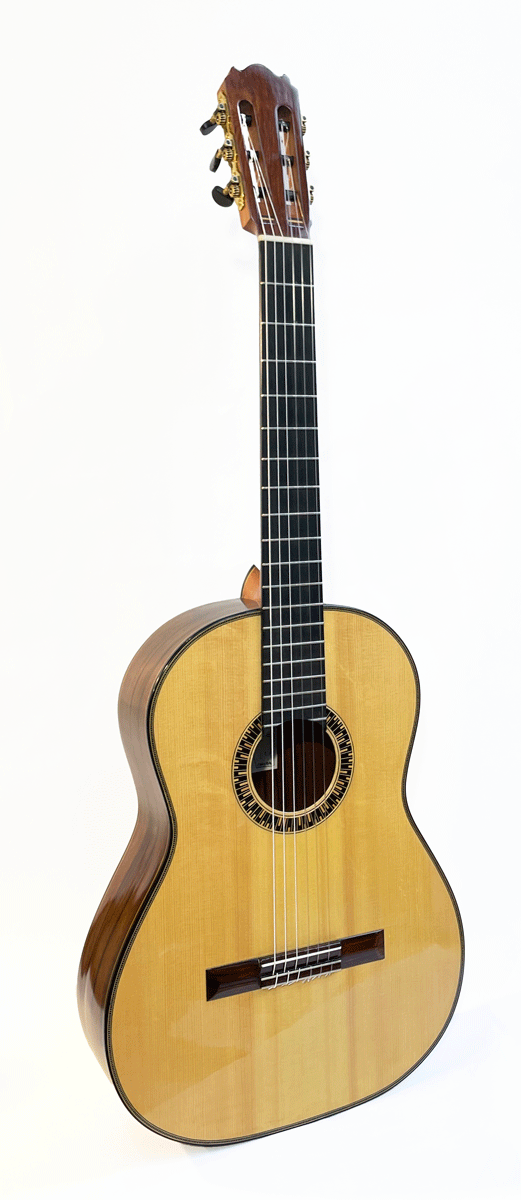 Dirk Jan Schrander Flamenco Guitar