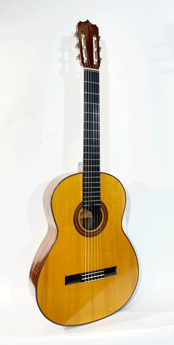 Van der Waals 1964 Classic Guitar