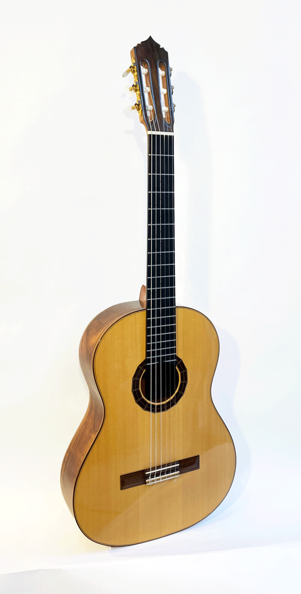 Vassilis Lazarides Negra Flamenco Guitar
