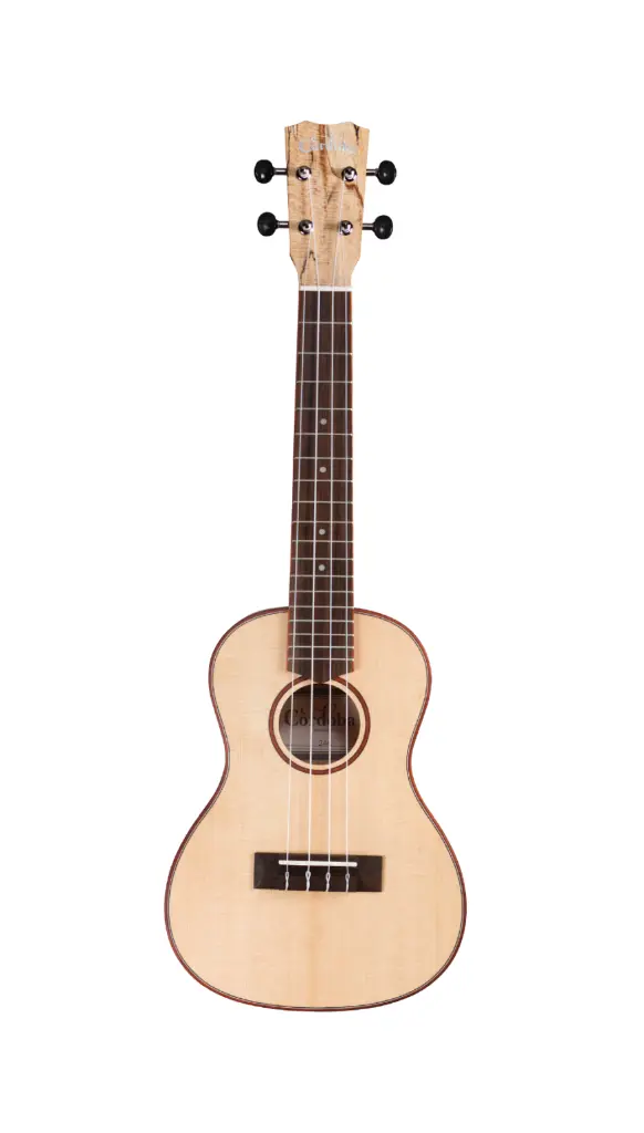 Cordoba ukelele 24S