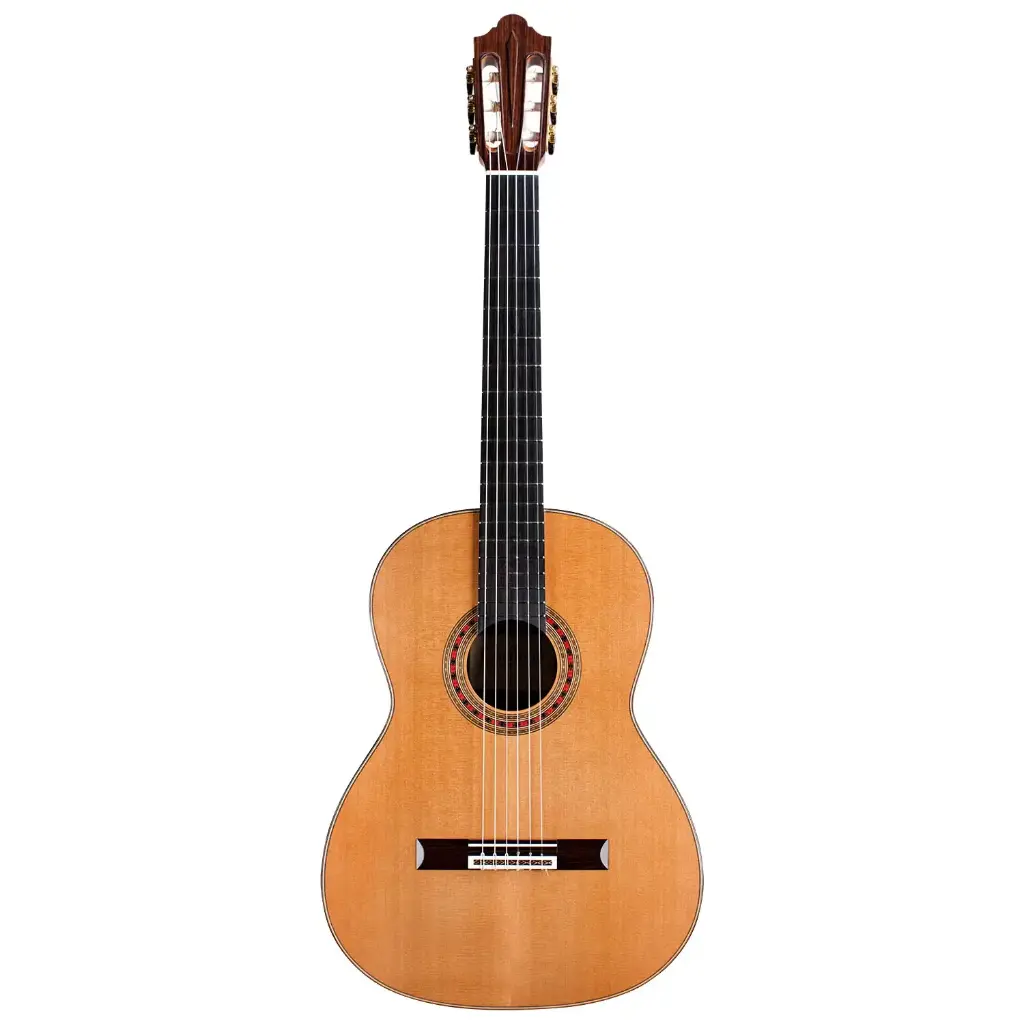 cordoba friederich occ