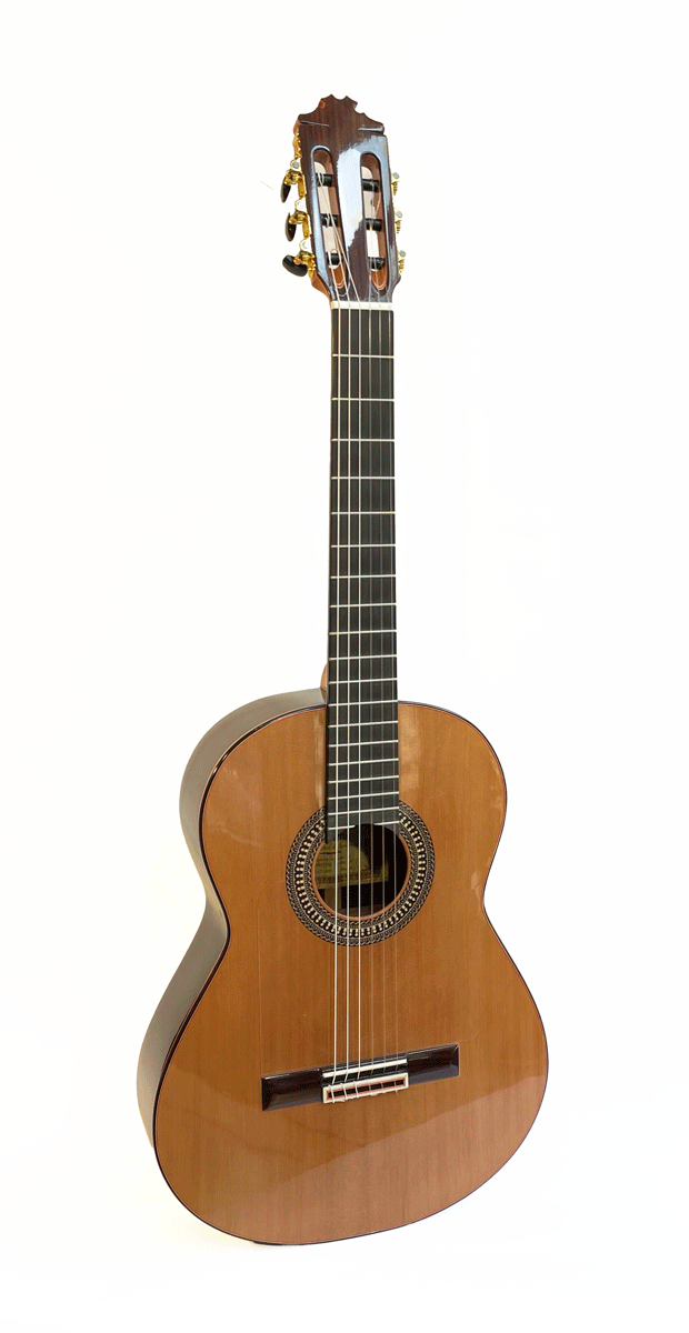 Manuel Guillena Flamenco and Classic Guitar - Negra 