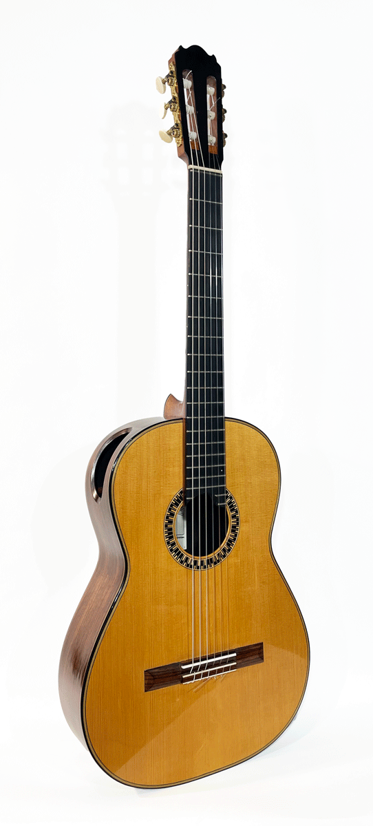 Dirk Jan Schrander -Modern Construction Classic Guitar