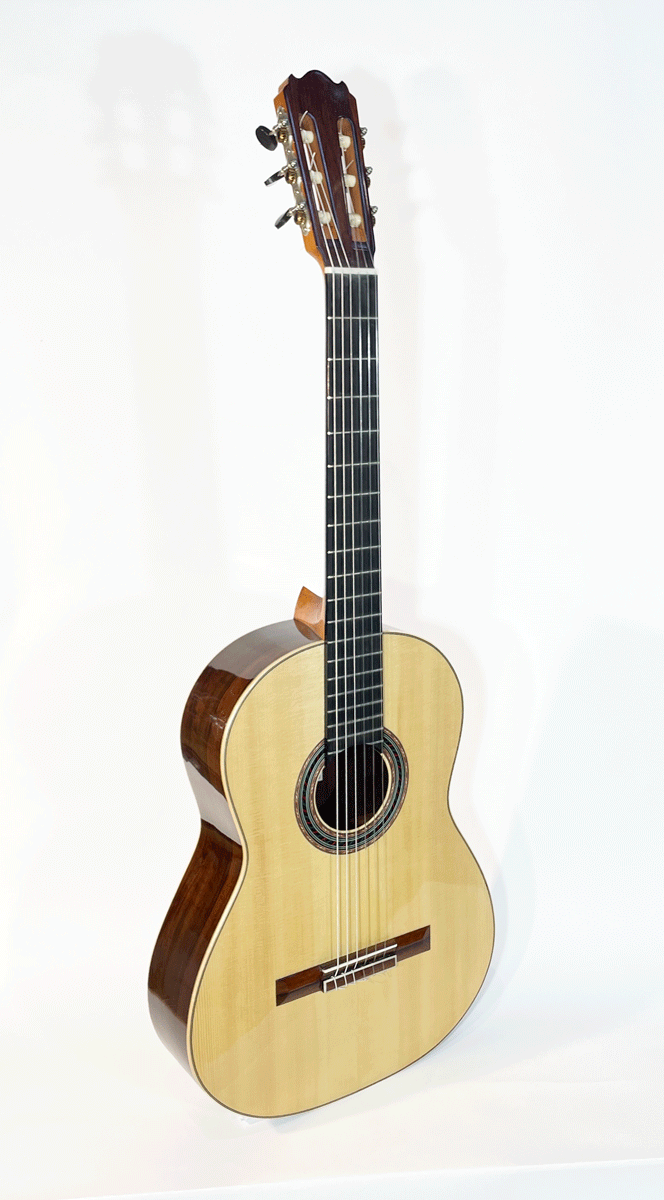 Dirk Jan Schrander - Santos Hernandez Classic Guitar