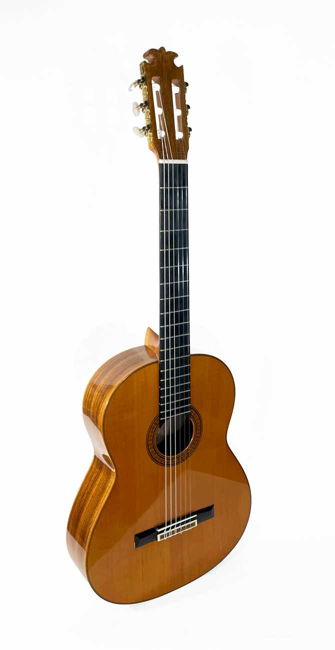 Pedro Maldonado Classical Guitar (1978)