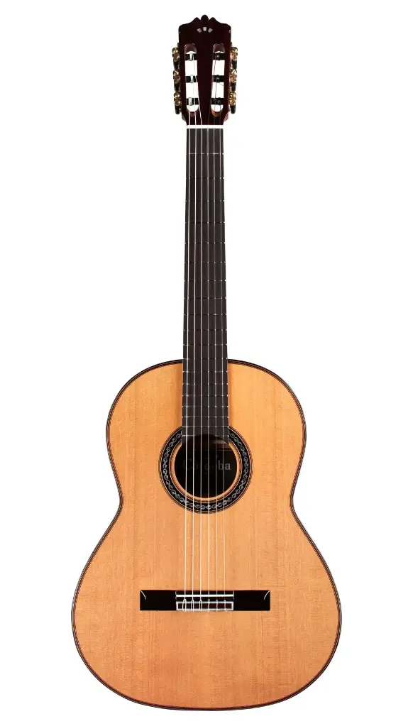 Cordoba C9 Parlor Classic Guitar