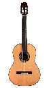 Cordoba C9 Parlor Classic Guitar