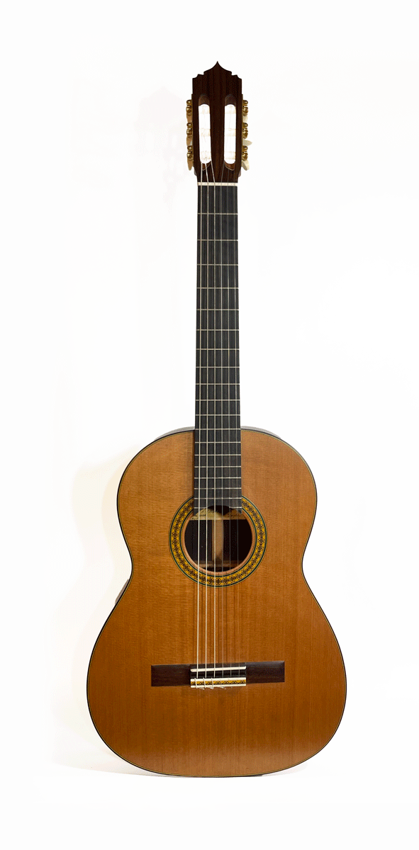 Vassilis Lazarides Layla Classic Guitar