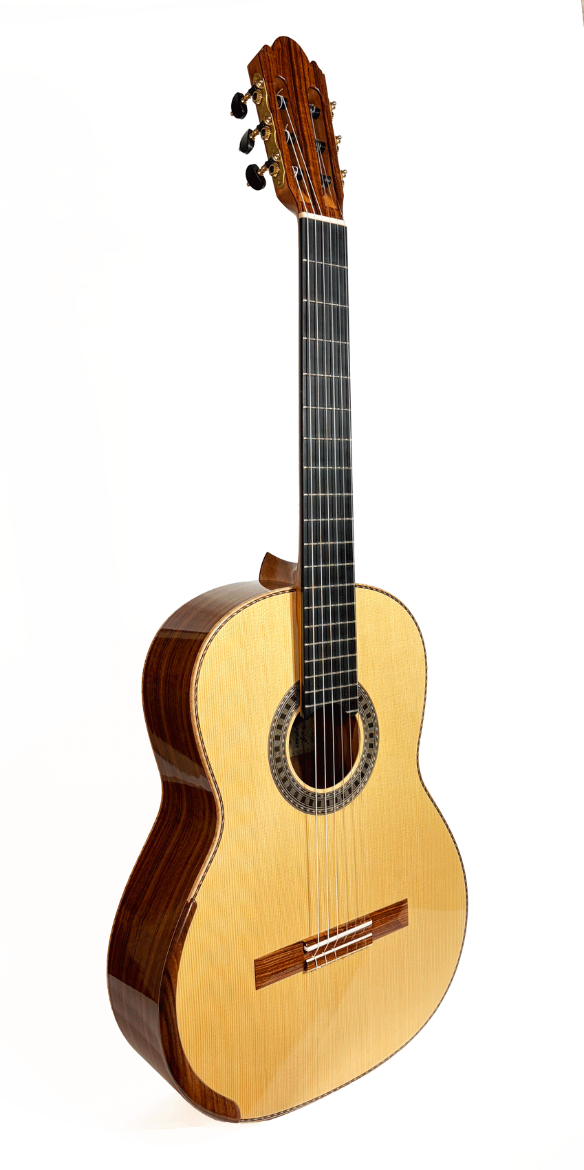 Wolfgang Jellinghaus  Signature Double-Top Guitar 