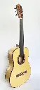 Fretless guitar - Can Oral Guitars