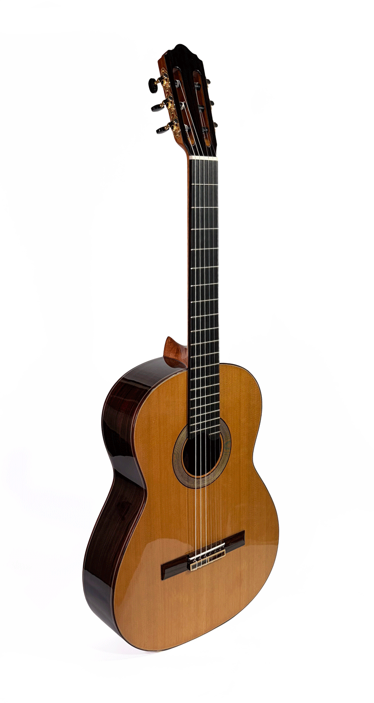 Maria Torres Classic Guitar Ceder