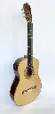 W. Jellinghaus Torres A (43) Classic Guitar