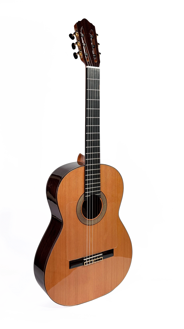Maria Torres Classic/Flamenca Negra Ceder 