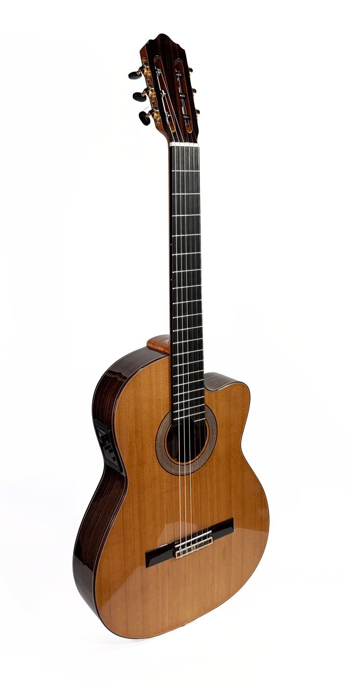 Maria Torres Classic Cutaway Guitar CW20