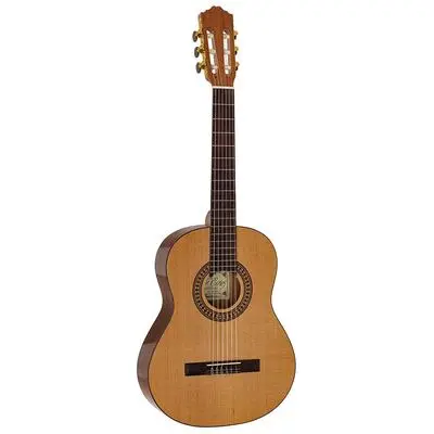 CC-22-JR |Salvador Cortez Solid Top Artist Series classic guitar 