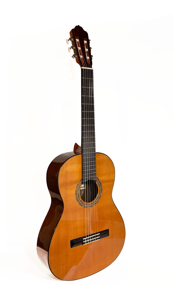 Esteve 4st Ceder classic Guitar 