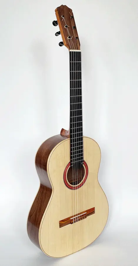 Naffory Guitar Nr 21