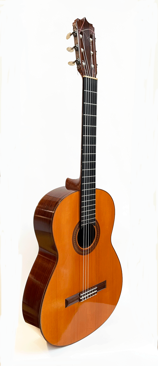 Van der Waals Classic Guitar 1968 