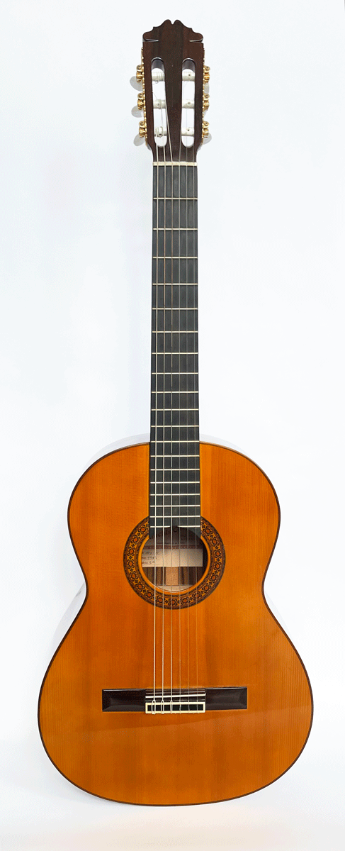 Ricardo Sanchis Carpio Flamenco Guitar