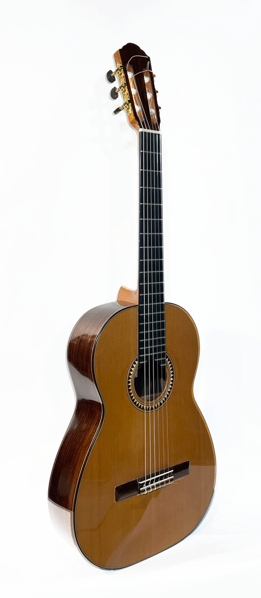 Thomas Holt Andreasen Classic Guitar