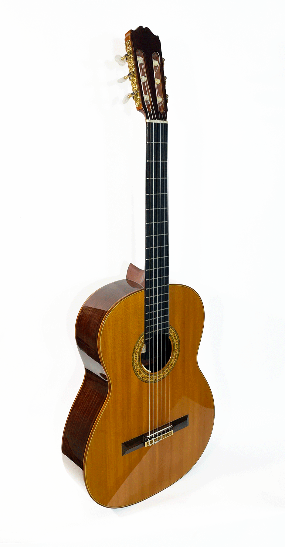 Takamine H 10 “Hirade” Classical Electric 