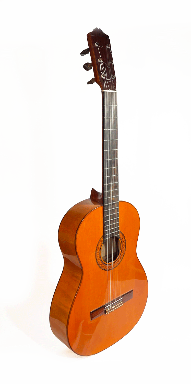 Hermanos Lozano Flamenco Guitar