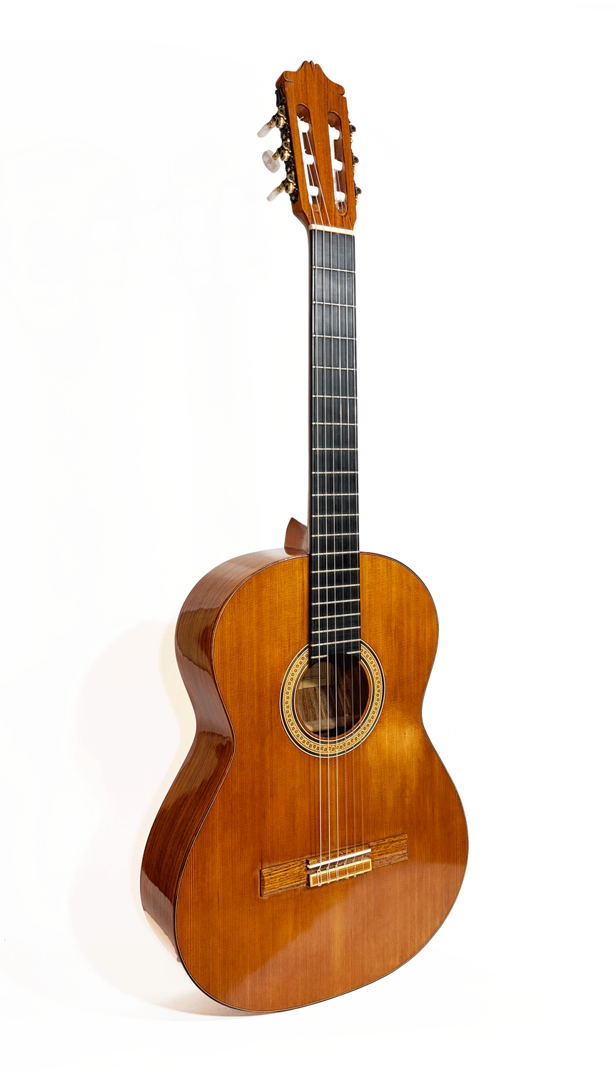 Arcángel Fernández Classic / Flamenco Guitar